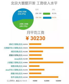 2017年大數(shù)據(jù)行業(yè) 掘金“服務(wù)”藍(lán)海，數(shù)據(jù)變現(xiàn)正當(dāng)時(shí)